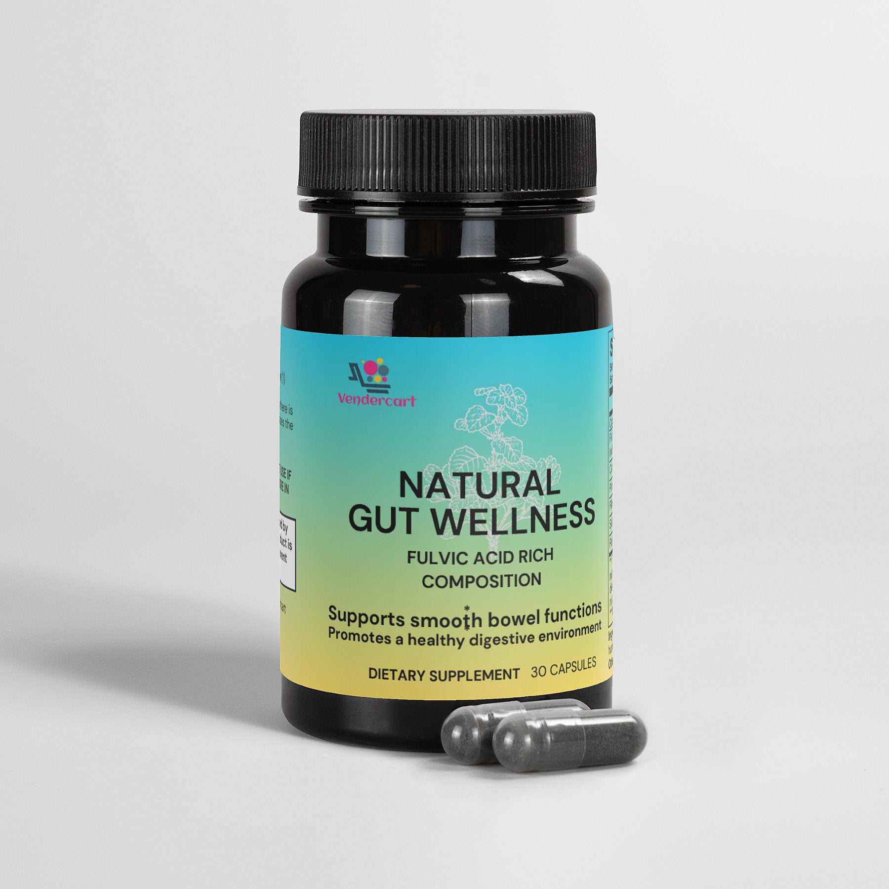 Natural Gut Wellness Capsules - Rswank