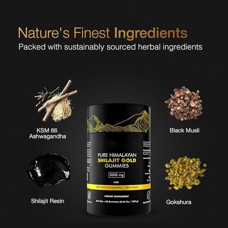 Premium Shilajit Gummies Natural Energy Immunity Mood Vegetarian Non-GMO Gummies