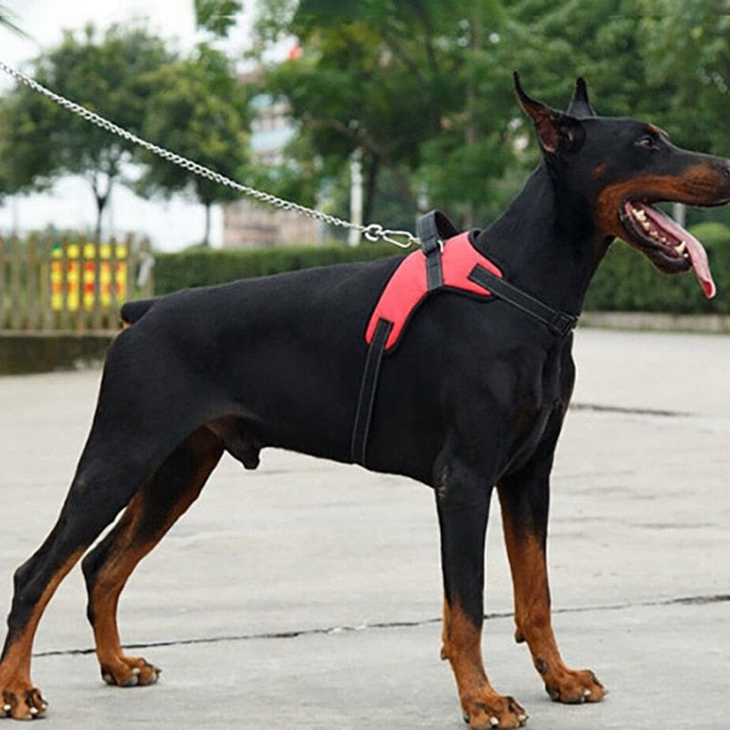 Dog Soft Adjustable Harness Pet Large Dog Walk Out Harness Rswank