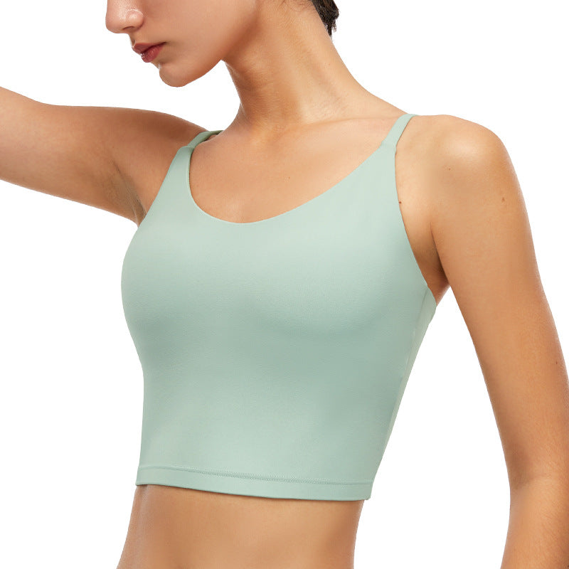 Sports Bra FashionExpress