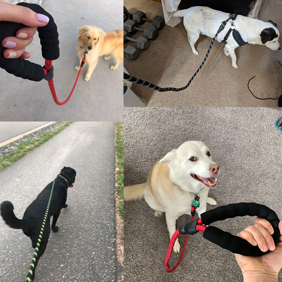 Small Medium Sized Pet Dog Luminous Leash Chain Puppies Rswank